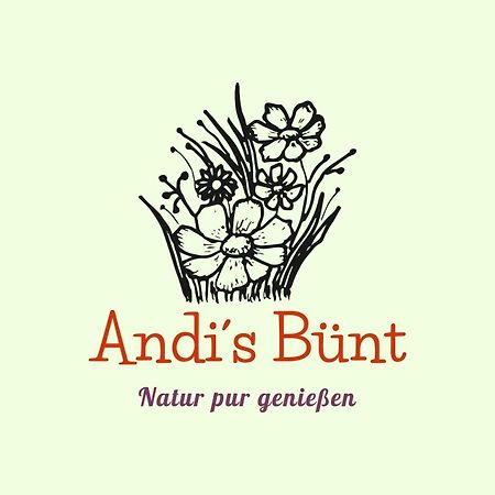 Andis Buent Villa Bizau Exterior foto